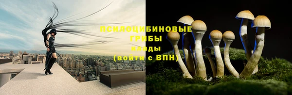марки nbome Абаза