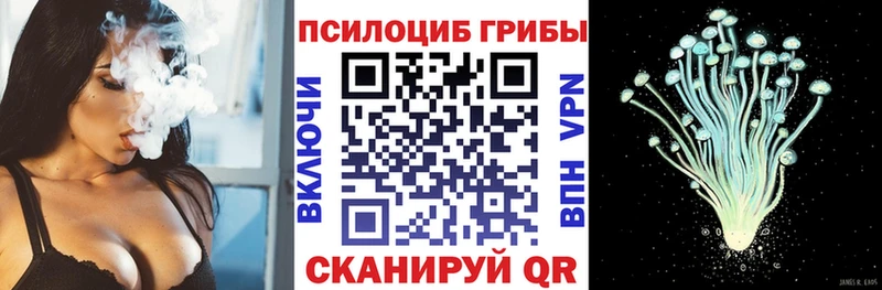 OMG tor  как найти наркотики  Урус-Мартан  Псилоцибиновые грибы MAGIC MUSHROOMS 
