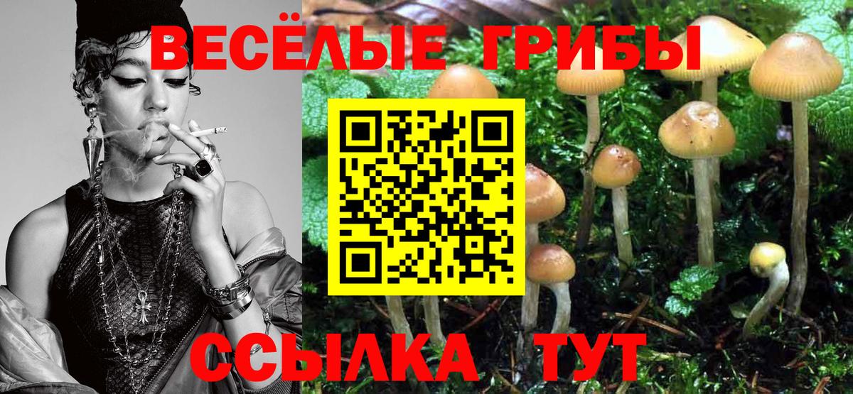Псилоцибиновые грибы MAGIC MUSHROOMS  Галлюциногенные грибы мицелий  Вход с VPN  Урус-Мартан 
